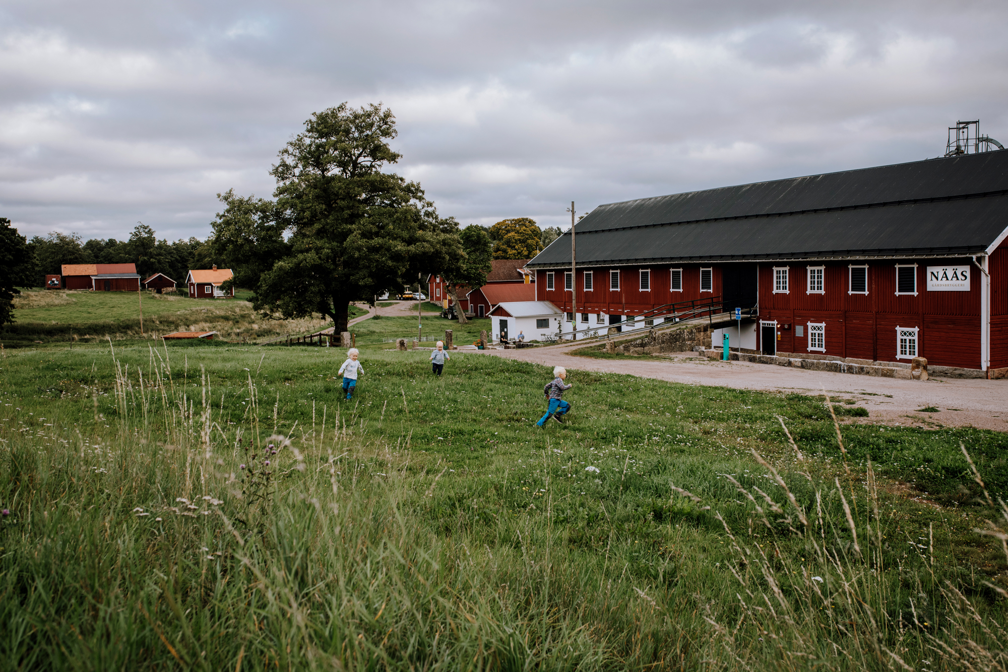 Barn springer på en äng utanför Nääs bryggeri